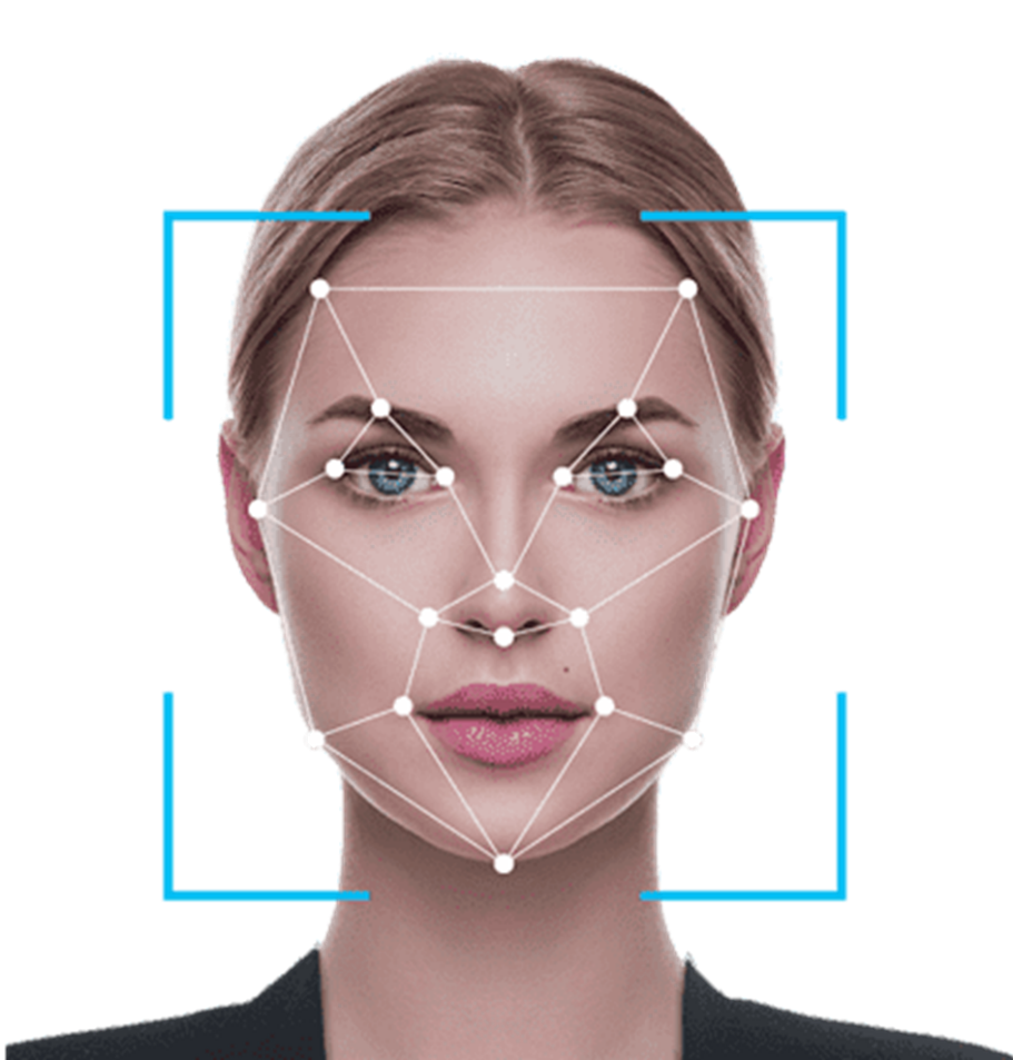 Программный комплекс биометрической идентификации StareFace